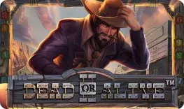 Dead or Alive 2 slot at Golden Genie Casino