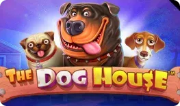 The Dog House slot at Golden Genie Casino